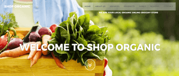 Shop Organic Grocery Store